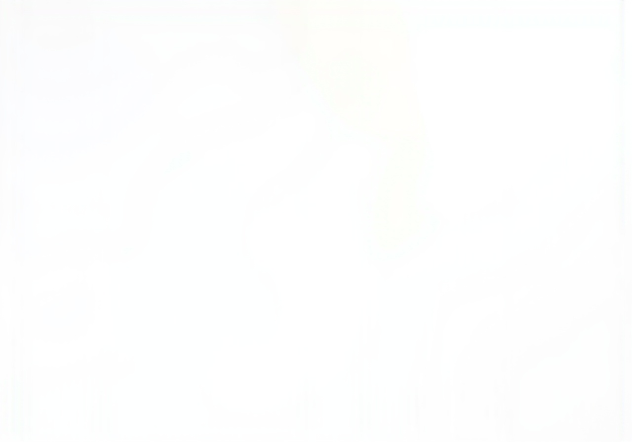 Отчетность обособленного подразделения: что и куда сдавать